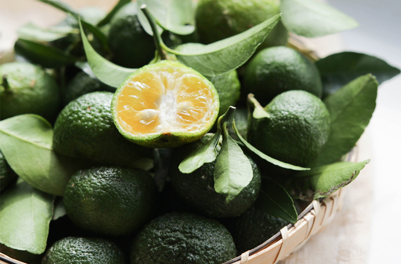 台湾香檬功效与作用